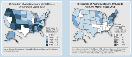 Fields of Knowledge Blog_APA Mental Illness graphic
